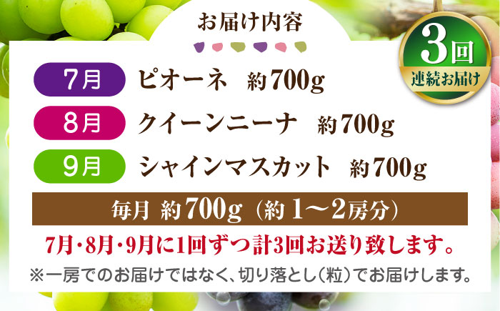 【先行予約】 【3回定期便】 訳あり 毎月違うぶどうをお届け！ ぶどう3種 食べ比べ 切り落とし 約700g 【合同会社 社方園】 [ZBZ048]