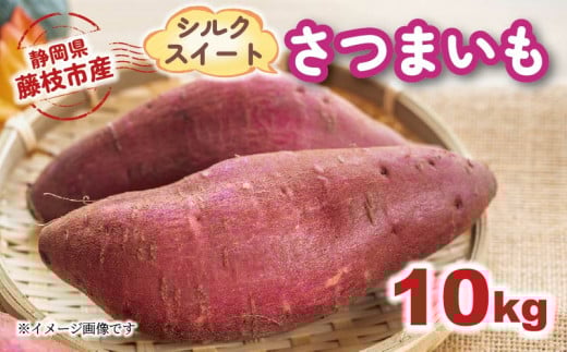 【2025年11月～順次発送予定】 さつまいも シルクスイート 約10kg 期間限定 サツマイモ 焼き芋 イモ 芋 いも 野菜 健康 やさい 人気 おすすめ 静岡県 藤枝市