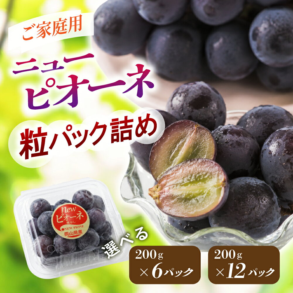 【ふるさと納税】 〈パック詰め〉岡山県産種なしニューピオーネ 粒 6～12パック 数量限定 【期間限定 9月～10月末頃より順次発送】 ｜ ピオーネ 果物 フルーツ くだもの 先行予約 ブドウ 葡萄 ぶどう フルーツ 新着 人気 岡山県産ピオーネ 産地直送 数量限定 食品 ぶどう