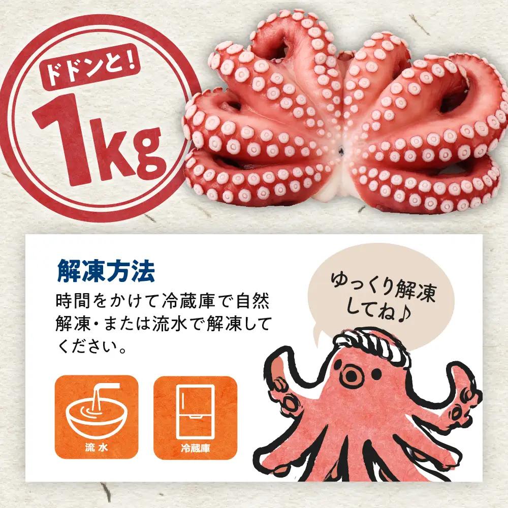 冷凍 酢だこ 1尾 約1kg たこ タコ 刺身 酢の物 カルパッチョ