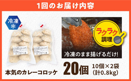 【全3回定期便】三富屋さんの本気のカレーコロッケ20個 0.8kg【三富屋商事株式会社】[AKFJ074]