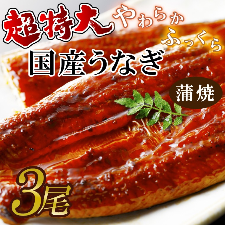 
                  超特大！やわらか国内産うなぎ蒲焼220～250g 3尾　計660g以上|うなぎ 鰻 蒲焼 特大 茨城県 行方市(AD-94-1)
                