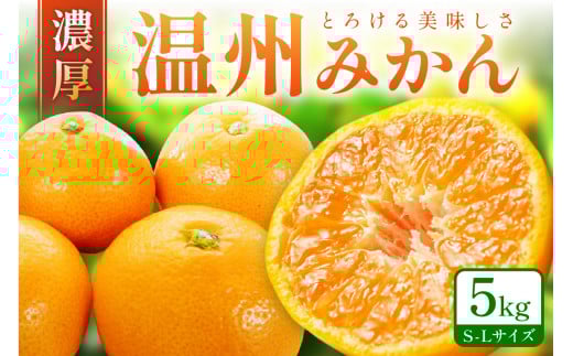 「濃厚な味のとろける美味しさ」 温州みかん 5kg《先行予約》 みかん ミカン  サイズ混合 Ｓ～Ｌサイズ 甘い 果物 フルーツ 濃厚 産地直送 期間限定 デザート 贈り物  贈答
