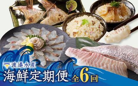 渡邉水産・海鮮定期便（6回）／ 真鯛 定期便【Z072】