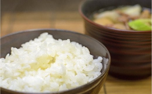 【令和6年産】⽶・⾷味分析鑑定コンクール⾦賞受賞⽣産者が作る 金のいぶき5kg（有機JAS）【玄米】 F21B-140