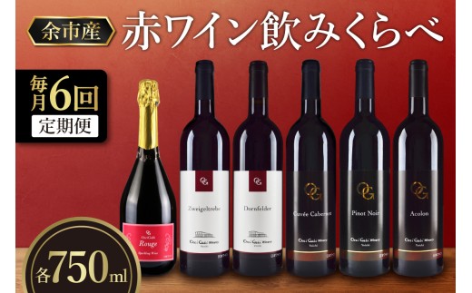 【定期便6回】【OcciGabi Winery】赤ワイン飲みくらべ定期便