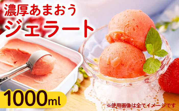 【採れたて】福岡産 濃厚 あまおう ジェラート 1000ml 《築上町》【南国フルーツ株式会社】アイス スイーツ イチゴ 苺 いちご [ABET005]