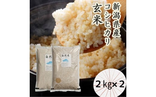【令和7年産新米予約】「米屋のこだわり阿賀野市産」GOZU自然米 玄米２kg×２袋 10月下旬より順次発送 1E13021