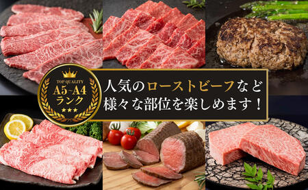 【ふるなび限定】佐賀牛定期便 偶数月に届く バラエティ 全6回 計1.9kg 肉 定期 おすすめ ギフト 贈答 黒毛和牛 ランキング N120-15 FN-Limited-SP