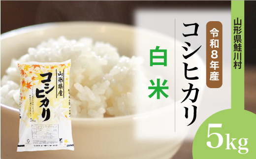 ＜令和8年産米＞ 鮭川村 コシヒカリ 【白米】 5kg （5kg×1袋）＜配送時期選べます＞