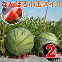 【ふるさと納税】小玉スイカ 2玉 約4kg なんぽろ小玉スイカ《数量限定・期間限定》すいか NP1-348