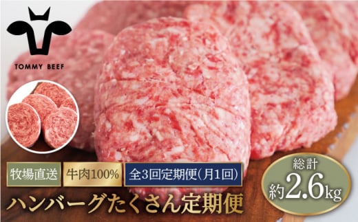 【牧場直送】【3回定期便】家族に優しい！ハンバーグ＆ロールステーキ定期便 【佐賀セントラル牧場】佐賀県産 牛肉 お肉 ハンバーグ ロールステーキ 冷凍 定期便 九州 佐賀県 白石町 [IAH049]