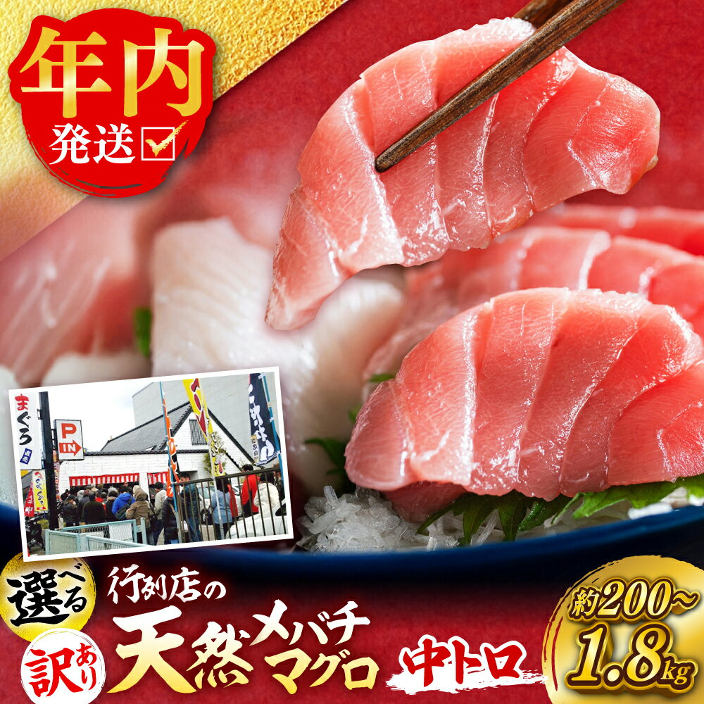 【ふるさと納税】【年内発送の受付は12月24日まで！】【選べる内容量】天然 メバチマグロ 中トロ・訳あり 中トロ 計約200g/計約450g/計約900g/計約1.8kg【横須賀商工会議所 おもてなしギフト事務局（本まぐろ直売所 横須賀本店）】 冷凍 小分け [AKAK010] 1万円 10000円