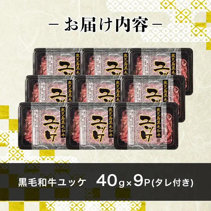 ユッケ 黒毛和牛 鹿児島県産 9人前 【LRプラスK】 i1211-A