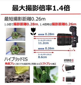 Canon キヤノン 高画質マクロカメラレンズ RF100mm F2.8 L MACRO IS USM ｜ キヤノン Canon カメラ レンズ