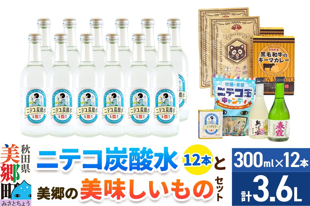 
                  炭酸飲料 ニテコ炭酸水12本と美郷の美味しいものセット [炭酸飲料 ご当地 美郷たぬ中 黒毛和牛 キーマカレー ニテコ玉キャンディ ニテコサイダー ドロップ 日本酒 純米酒 春霞 奥清水 おいしい 美味 秋田県 美郷町]
                