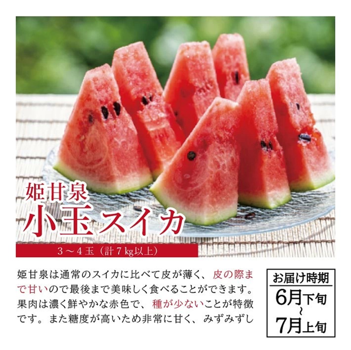 SE0506　【4回定期便】自然の恵み　季節のフルーツ定期便2026(3) (いちご、小玉スイカ、彩りメロン、柿)