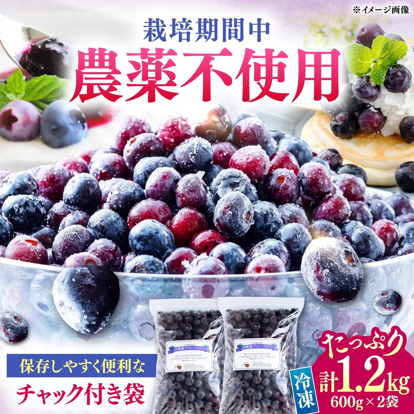 大容量 対馬産 ブルーベリー 1.2kg（ 冷凍 ） [WBG001] 果物 フルーツ ベリー 冷凍 ブルーベリー旬 ブルーベリー