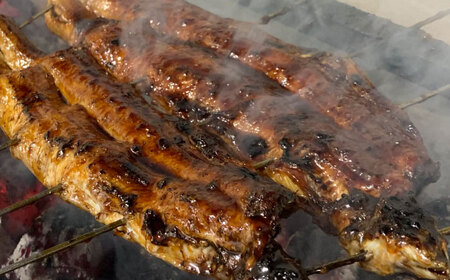 国産うなぎの長焼き 1尾 鰻 たれ 肉厚 岐阜市 / 本格炭焼うな吉[ANHH001]