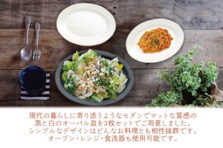 AH002 益子焼　黒と白のオーバル皿セット