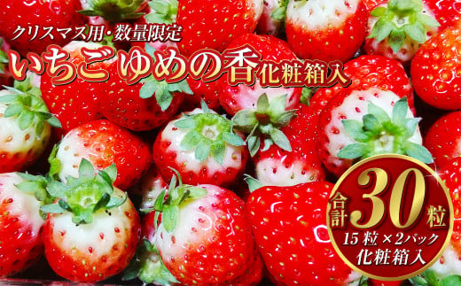 【12月24日着】 いちご ゆめの香 30粒 （15粒×2パック） 化粧箱入 【クリスマス用・数量限定】【贈答用】 ｜ イチゴ 苺 ゆめの香 フルーツ 果物 クリスマス 贈答用 ギフト