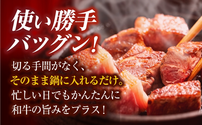 佐賀県産 黒毛和牛 牛肉 和牛 切り落とし きりおとし 煮込み サイコロ コロコロ