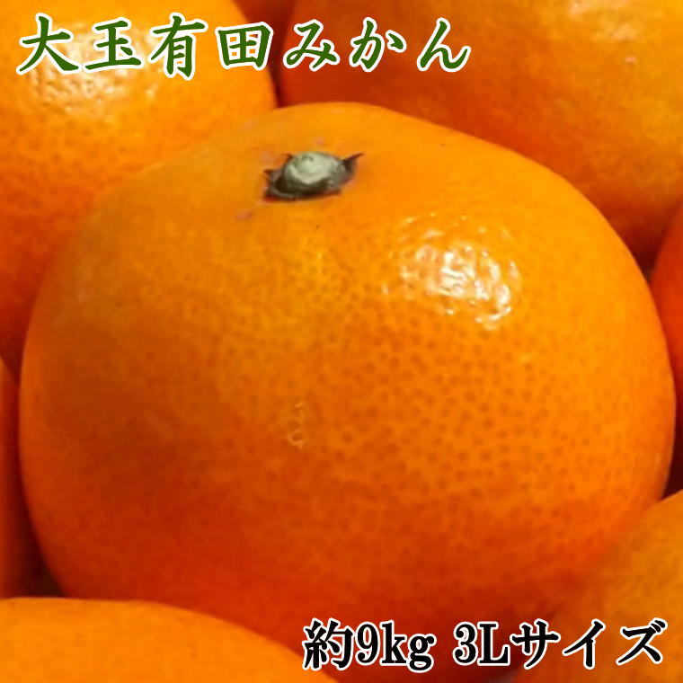 【ふるさと納税】【食べごたえ十分】有田みかん大玉　9kg（3Lサイズ・秀品）※2025年11月中旬～2026年1月中旬頃順次発送（お届け日指定不可）