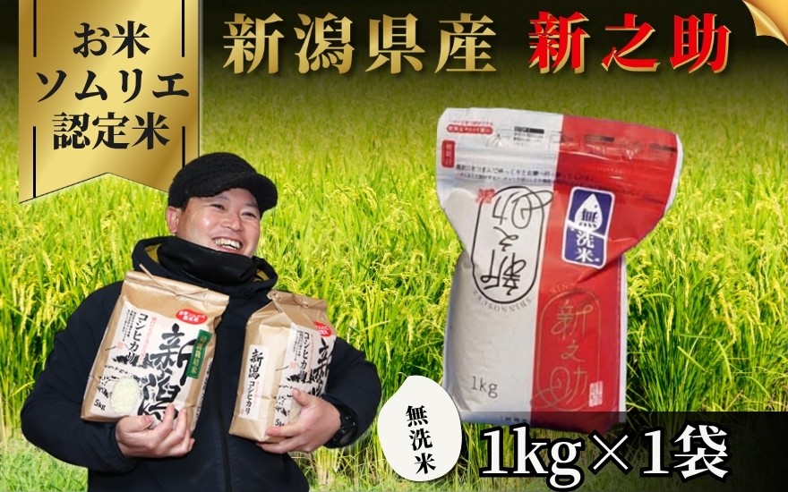 
                  【先行予約】令和8年産【お米ソムリエのお米】無洗米 新之助 1kg 新潟県 五泉市 エバーグリーン農場
                