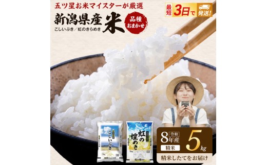 
                  R8年産 新潟県産 品種おまかせ  5kg 新潟県 新潟市産 令和8年産 お米 精米 米 ご飯 送料無料
                