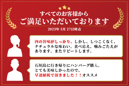 A-6-1 石垣牛ハンバーグセット100g×10個