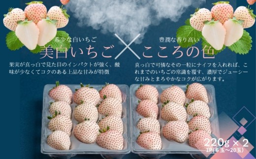 【先行受付！2027年1月から発送開始】佐賀県産いちご　美白いちご&こころの色　白いちごセット：B190-058