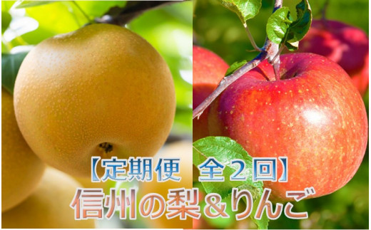 【024-07】【定期便全２回】信州の梨＆りんご　品種おまかせ　約3キロ（9月：梨、11月：りんご）