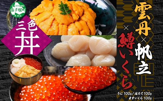 
            3429. うに チリ産 冷凍 100g 鱒いくら醤油漬け 100g ホタテ 100g セット ウニ 雲丹 いくら イクラ ますいくら ほたて  帆立 海鮮 海鮮丼 三色丼 送料無料 北海道 弟子屈町
          