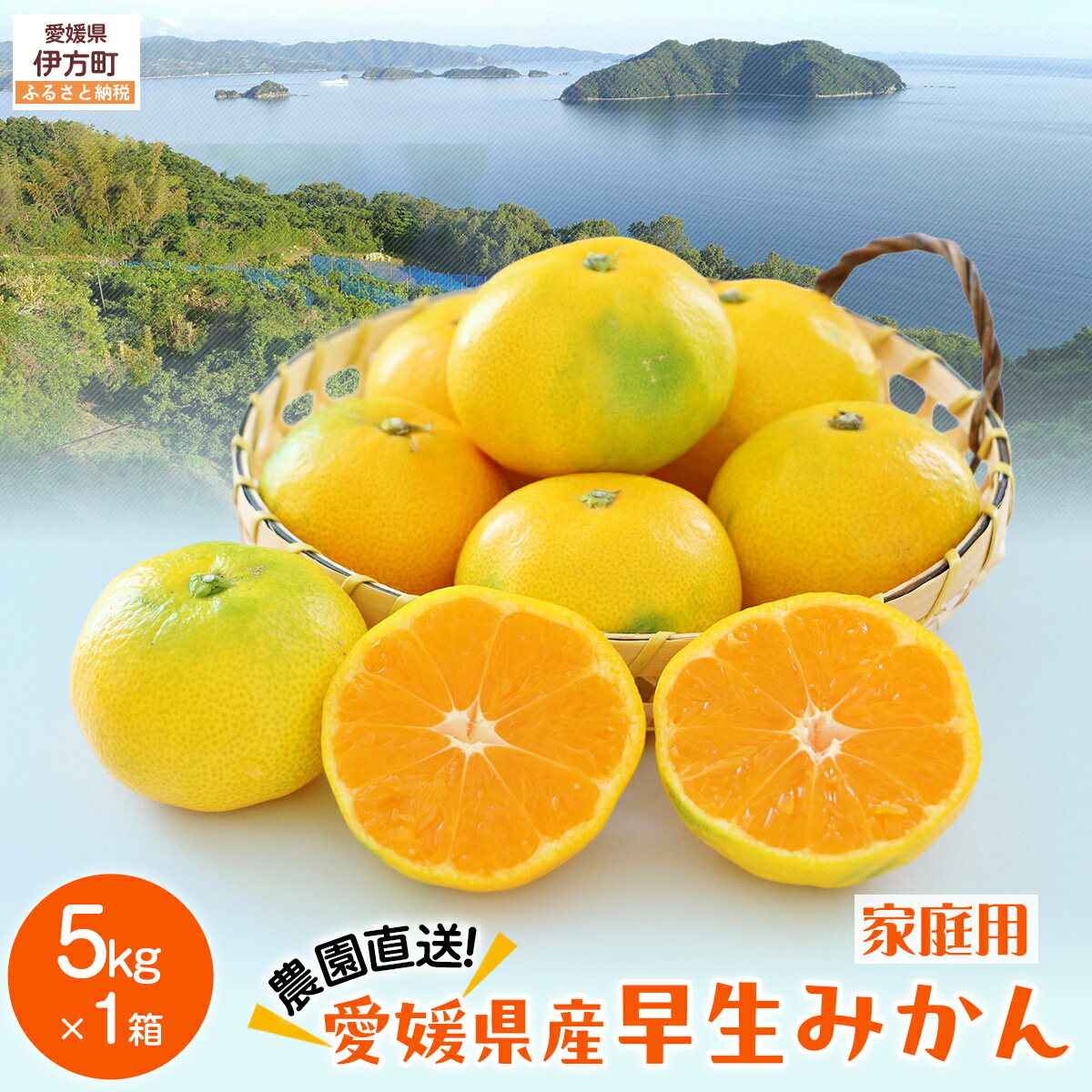 【ふるさと納税】【先行予約】【数量限定】＼農園直送／愛媛県産早生みかん5kg×1箱（家庭用）（2025年11月中下旬より順次発送） 【ふるさと納税 人気 おすすめ ランキング 柑橘 みかん 早生みかん ミカン 蜜柑 果物 フルーツ 農園直送 産地直送 岡市農園 愛媛県 】 IKTV009