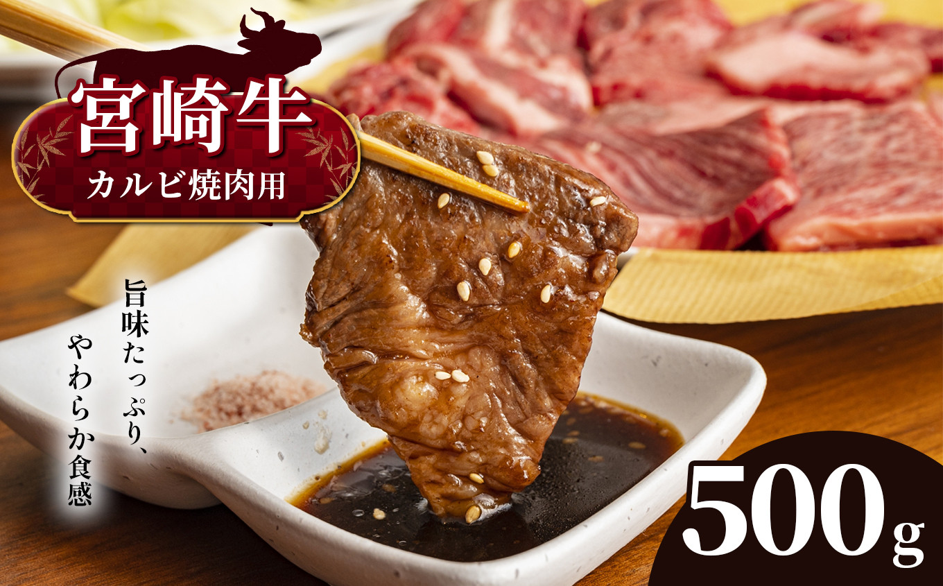 
宮崎牛 カルビ焼肉 500g　宮崎県産 黒毛和牛 A4 ～ A5 等級
