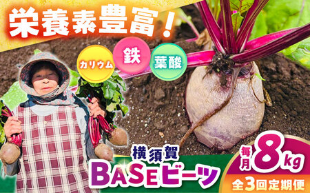 【全3回定期便】横須賀BASEビーツ 8kg（1kg×8袋）【ゆり子ファーム】[AKCR007]