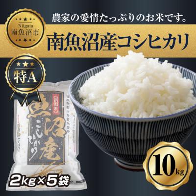 ふるさと納税 南魚沼市 新潟県　南魚沼産コシヒカリ　2kg ×5袋 計10kg(お米の美味しい炊き方ガイド付き)