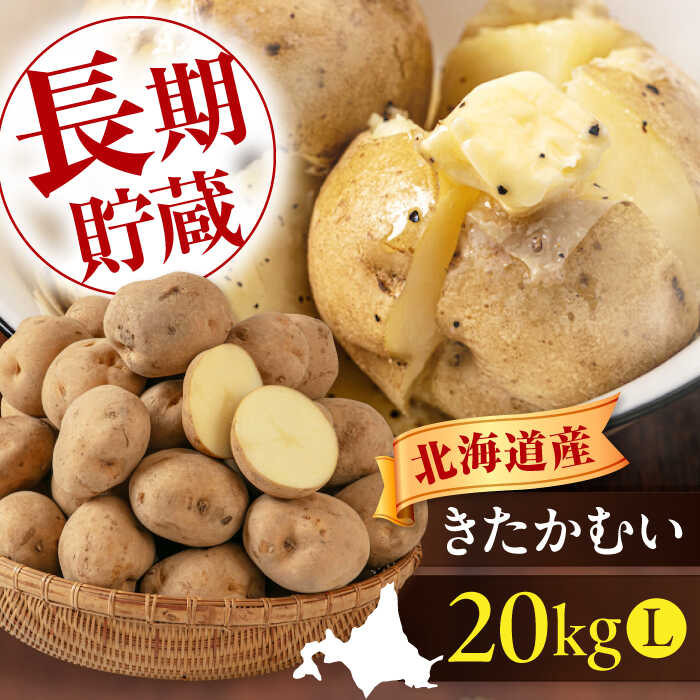 【ふるさと納税】先行予約 じゃがいも きたかむい 20kg《喜茂別町》【Aコープようてい】 先行予約 ジャガイモ 野菜 季節の野菜 冬野菜 詰め合わせ 北海道 北海道産 産地直送 [AJAK013] 15000 15000円