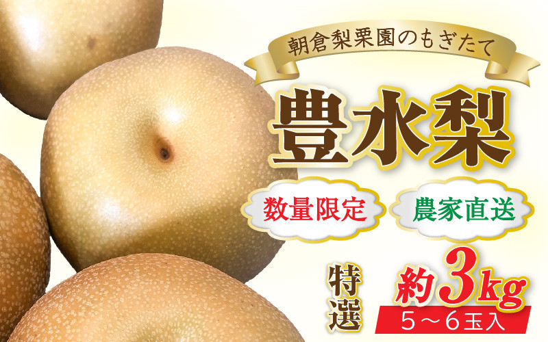 
            【先行予約】《数量限定》豊水梨 特選 5～6玉入 約3kg ※2025年9月上旬より順次発送予定
          