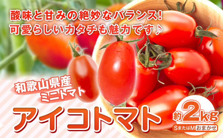 
             【先行予約】和歌山産 ミニトマト アイコトマト 約2kg SまたはMサイズ サイズおまかせ 厳選館 【配送不可地域あり】 《2026年2月上旬-3月中旬頃出荷》 和歌山県 日高川町 トマト とまと アイコトマト 送料無料
          
