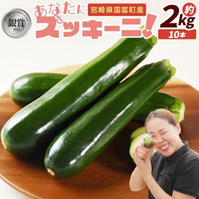 ふるさと納税 国富町 【野菜ソムリエサミット銀賞受賞!あなたにズッキーニ2kg(10本)】ヒダカファーム 宮崎県国富町