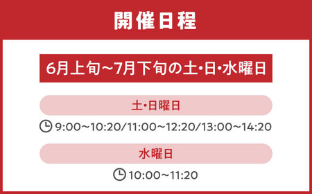 ブルーベリー狩り 80分食べ放題 ペアチケット 大人2名様 ブルーベリー 体験チケット[AEBZ008]