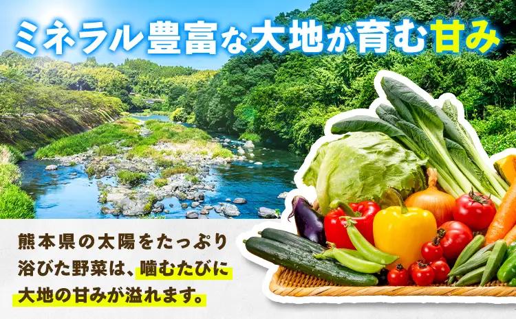 野菜果物詰め合わせセット 5-7品 野菜