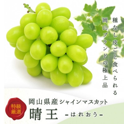 【先行受付】岡山県産 シャインマスカット『晴王』1房(800g以上) 化粧箱入り【配送不可地域：離島・北海道・沖縄県】