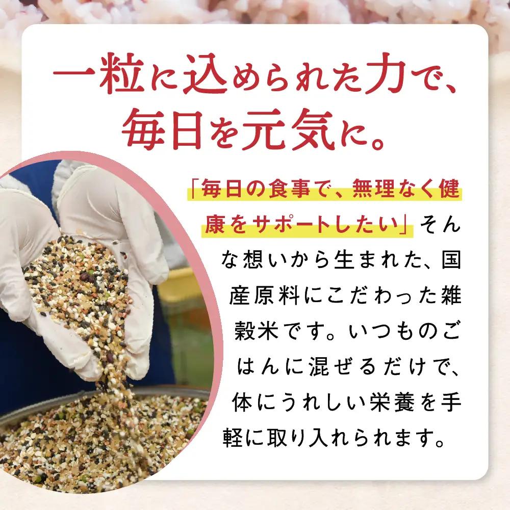 雑穀米 十五穀米 200g 雑穀米