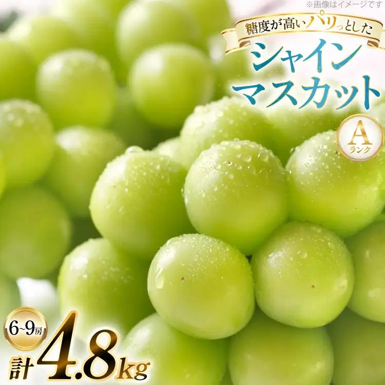 【期間限定発送】 シャインマスカット Aランク 6～9房 4.8kg