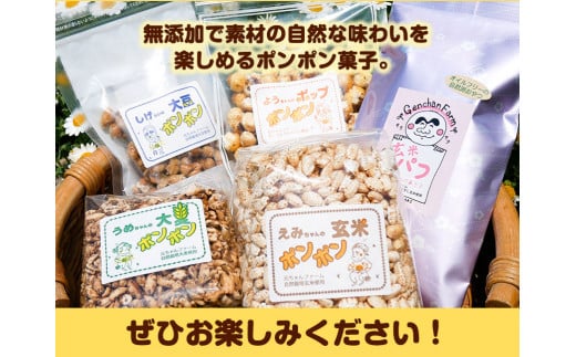 ポンポン菓子詰合せ元ちゃんファーム《90日以内に出荷予定(土日祝除く)》玄米大豆大麦トウモロコシ---wsk_gncppset_90d_22_14000_510g---