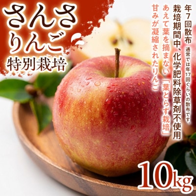 【ほどよい酸味と甘み】さんさ 10kg 1セット【1780248】