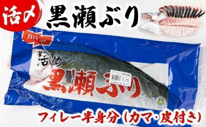 高評価！活じめ！黒瀬ぶりの生鮮ブリフィレー 1.5kg前後 (2026年5月発送)_K001-004