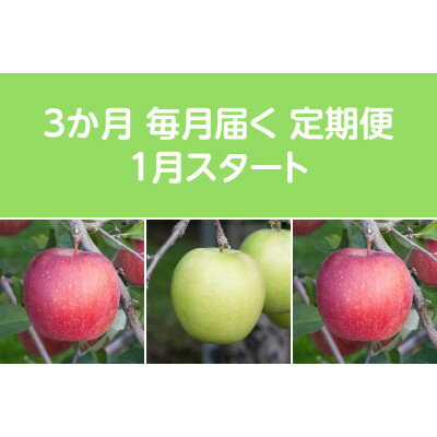 【ふるさと納税】【発送月固定定期便】〈2026年1月より順次発送〉甘味系・青森りんご約3kg全3回【配送不可地域：離島・沖縄県】【4068094】